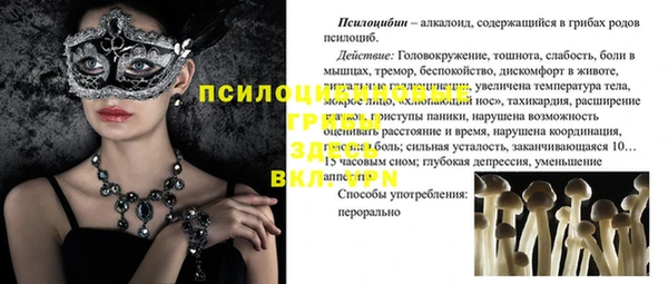 прущий лед Алексеевка